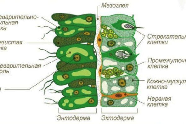 Зайти на сайт кракен